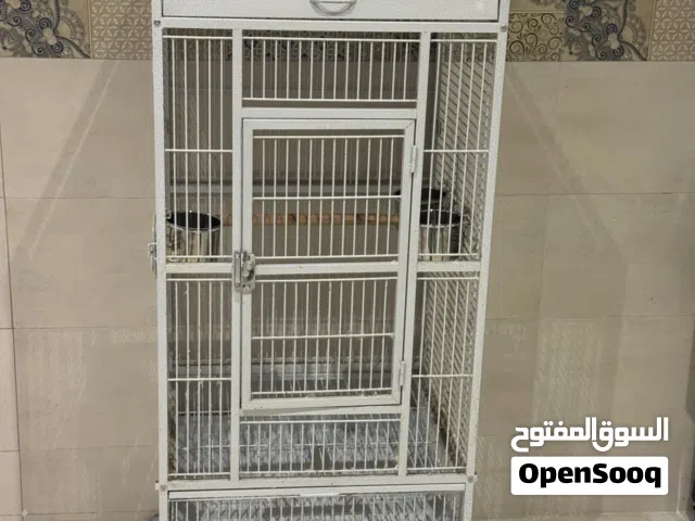 قفص بغبغاء كاسكو كبير