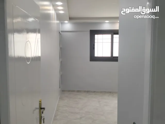 سموحه امام جرين بلازا