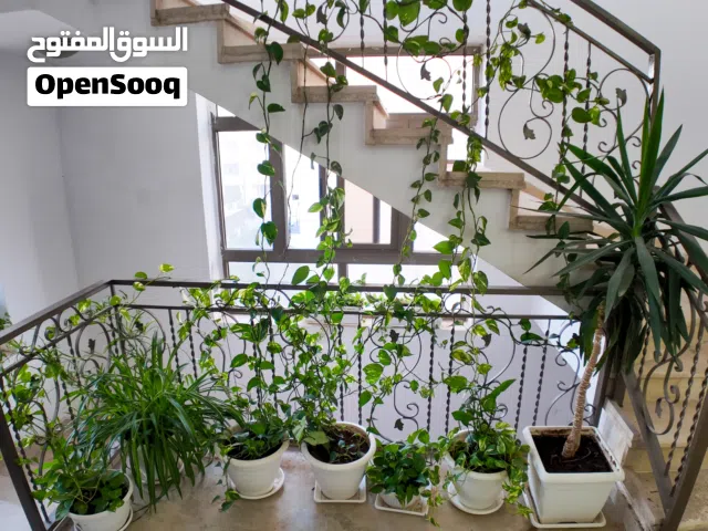 شقة مميزة (مجددة بالكامل) طابق رابع - ضاحية النخيل (من المالك مباشرة)... بسعر مغري