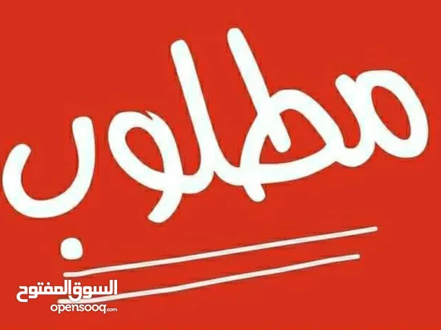 ابحث عن شقة للإيجار