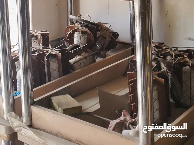 نجف اضائه مطعم