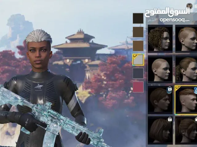 Pubg Accounts and Characters for Sale in Sabha