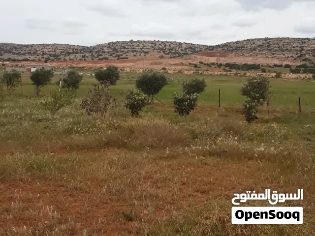 مزرعة للبيع مساحتها هكتار
