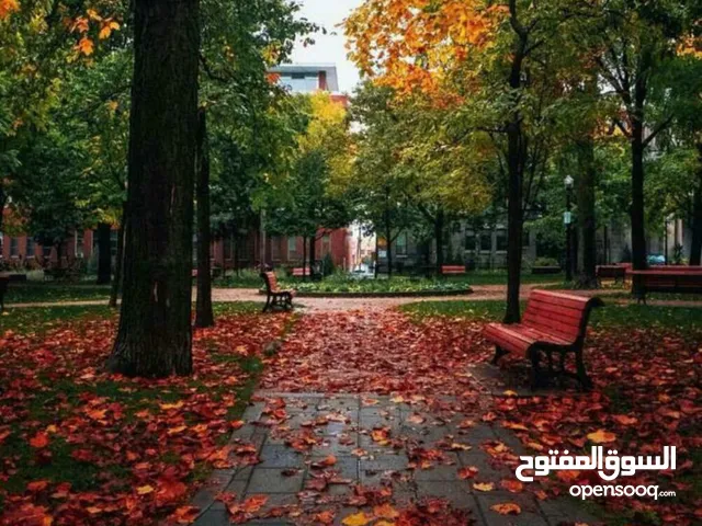 500 m2 4 Bedrooms Townhouse for Rent in Sana'a Haddah