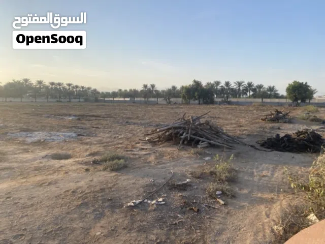 Farm Land for Rent in Muscat Al Maabilah