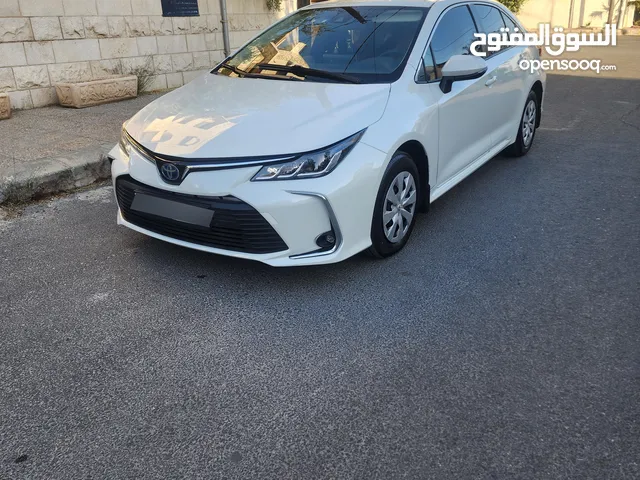 Used Toyota Corolla in Amman
