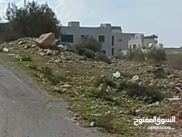 قطعة 870م في قرية ابو نصير نزول الرشيد فقط 125 المتر