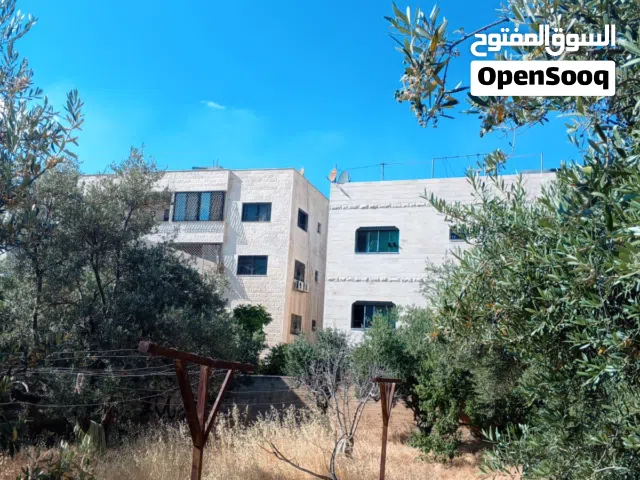 Residential Land for Sale in Amman Al Muqabalain