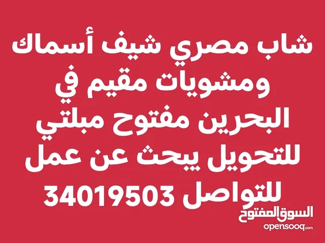 ابحث عن عمل