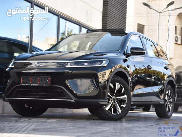 2025, BYD, Other