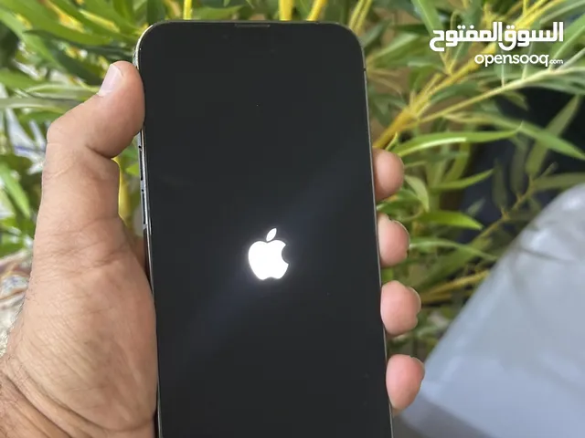 Apple iPhone 13 Pro Max 256 GB in Babylon