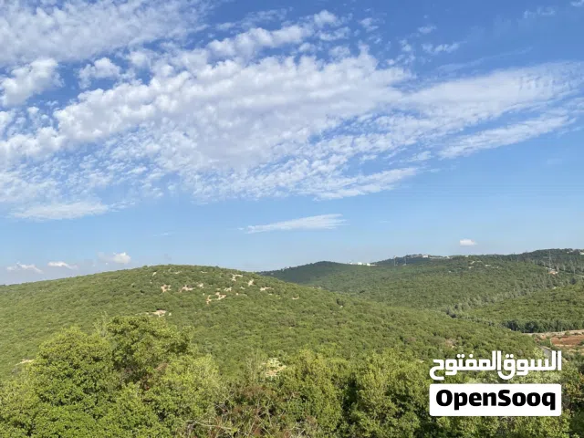 Mixed Use Land for Sale in Ajloun Other