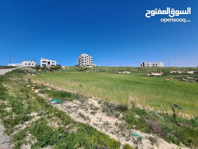 Residential Land for Sale in Amman Naour