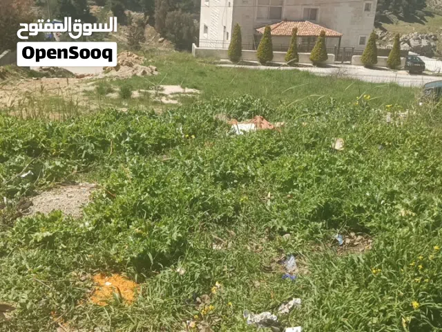 Residential Land for Sale in Salt Al Balqa'