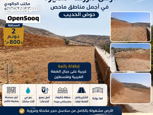 Farm Land for Sale in Amman Mahes
