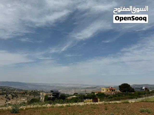 Farm Land for Sale in Salt Um Jozeh
