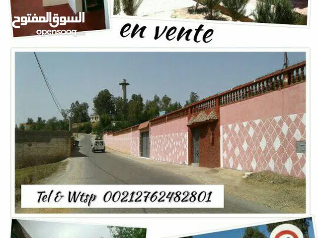 أرض بسكن في جماعة عرباوة