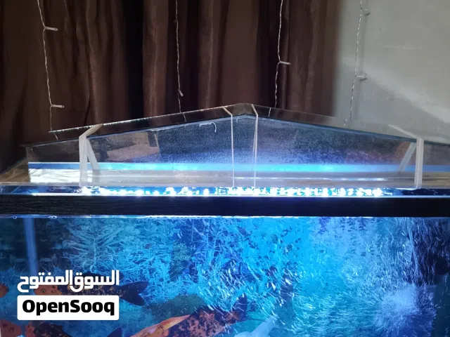 حوض سمك زينة متر كبير