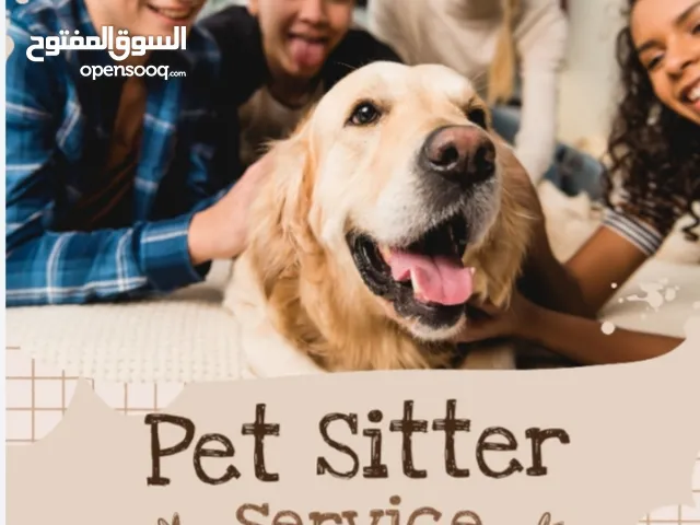 Pet sitter