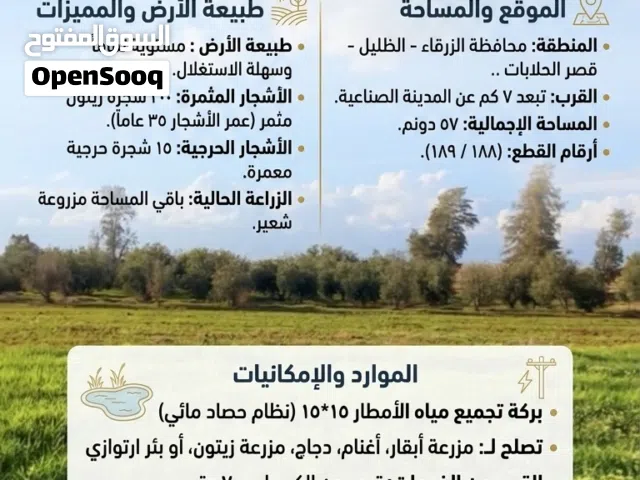 57 دونم للبيع بنفس قيمة السعر الاداري ومن المالك مباشرة