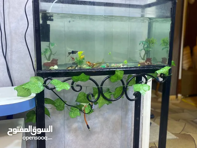 السلام عليكم موجود حوض سمك جاهز ومعه فلتر و9 سمكات والحوض سعره حرق قابل للتفاوض