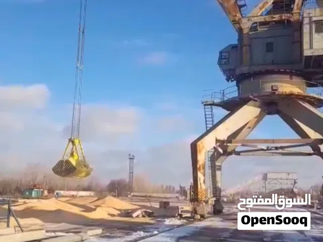 Directly Exporting from Russia to dubai and dubai to russia