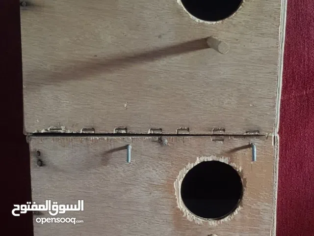 حضانات حجم كبير