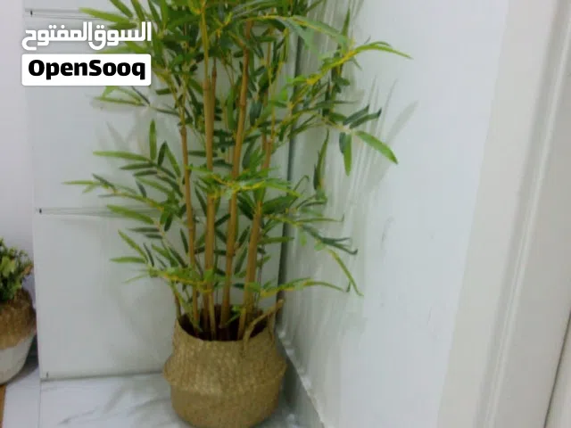 شجره بلاستيك مع السله