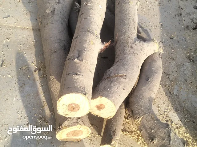 حطب سمر الشواء