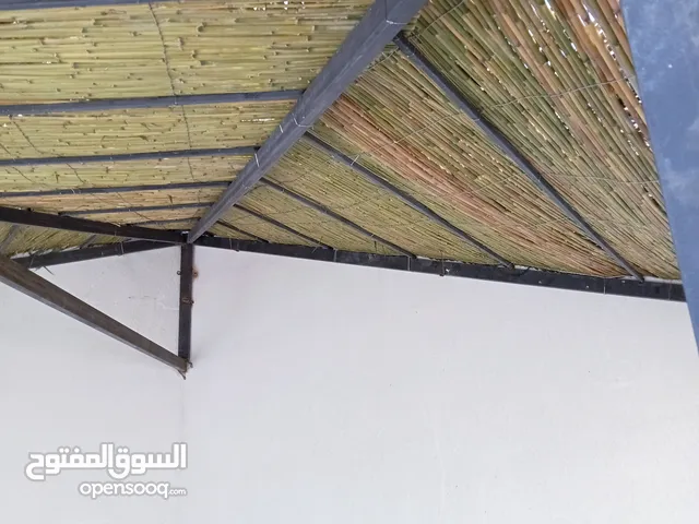 قصيب أخضر واصفر لتزيين الحدائق والمنتزهات والجلسات الخارجيه