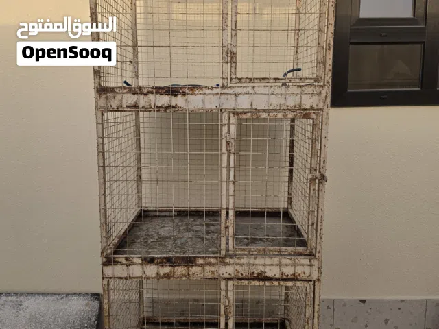 قفص (محاكر) للطيور