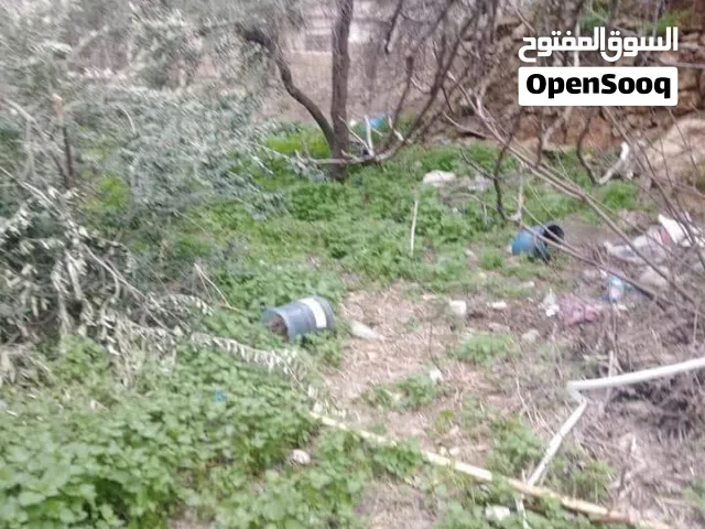 Residential Land for Sale in Amman Tabarboor