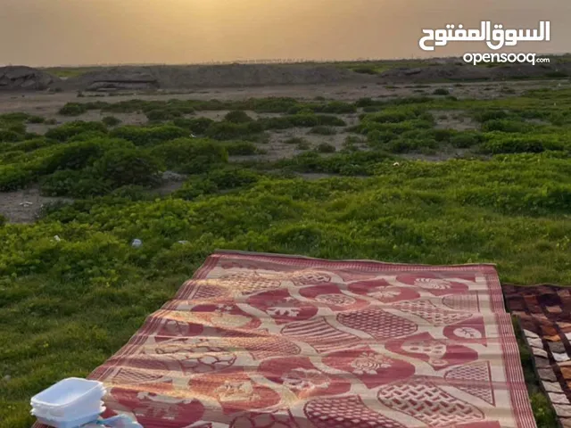 مقالات مختلفة في عموم العراق