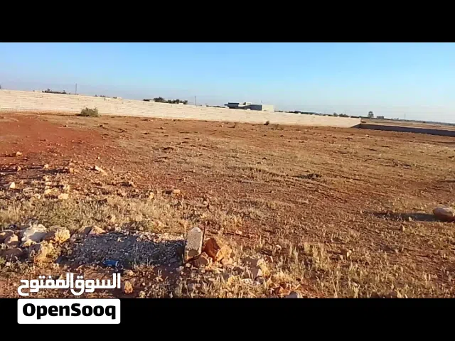 نص هكتار((4000))م للبيع