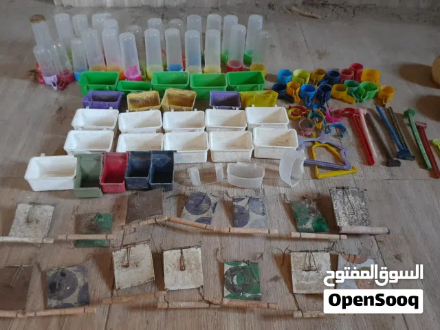 مستلزمات طيور – مساقي، أكالات، أطباق أكل، وقافات وماسك