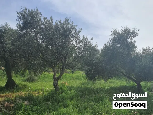ارض للبيع مطله ذات اطلاله بانوراما خلابه الارض 4 دونمات وربع على شارعين مفروزه بقوشان مستقل مستصلحه