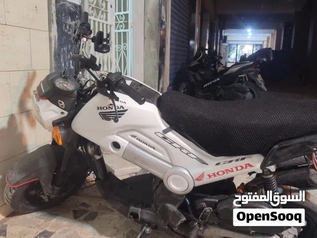 2019 هوندا نافي