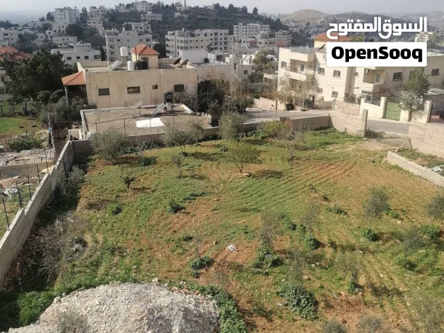 Residential Land for Sale in Amman Shafa Badran