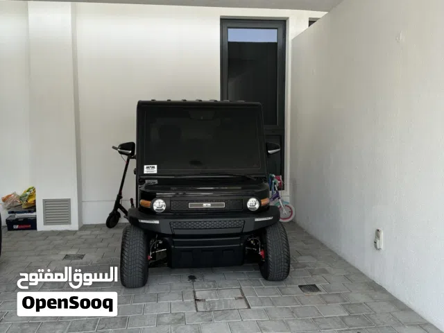 Electric Golf Cart. 2 persons, AC, Radio and Tinten windows.