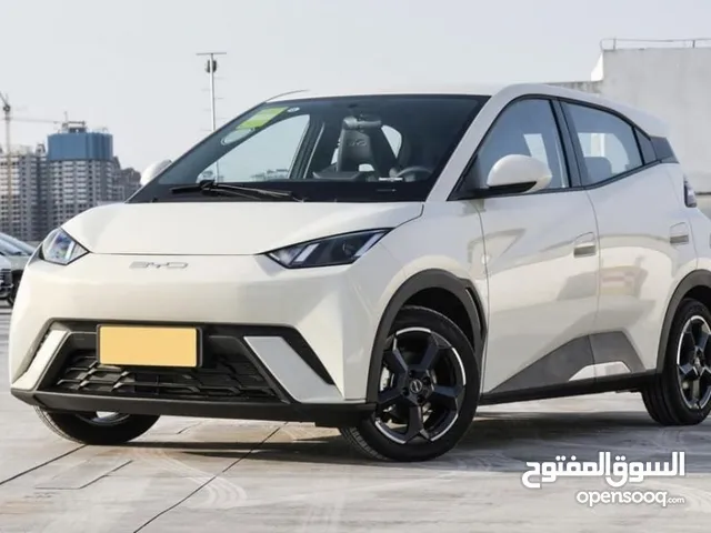 Used BYD Seagull in Zarqa