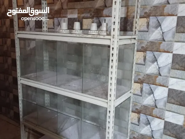 عارضه كرزات مستعمل وكلش نضيف