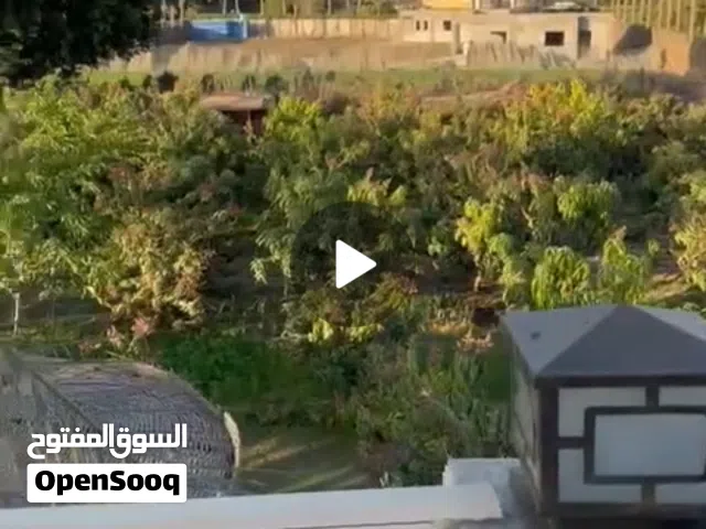 ارض زراعيه بالمنصوريه الجيزه باستراحه دورين