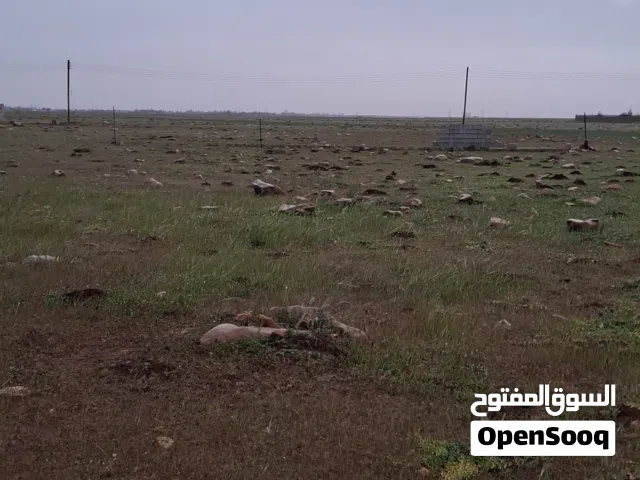 أرض للبيع في بنينا بنغازي الضي واصل المساحة 2000 متر على شارعين 45 الف قابل للنقاش
