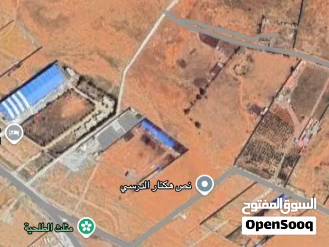 ارض فل طلحية عند مثلث طلحية