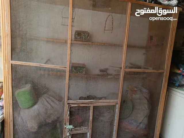 قفص طيور الحب