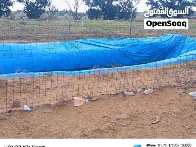 Mixed Use Land for Sale in Tripoli Airport Road