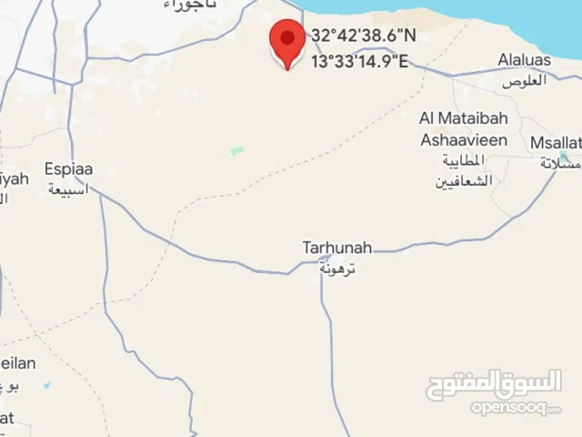 أرض للبيع مساحتها 59066.72 متر مربع حوالي 6 هكتارات موجودة بمنطقه تاجوراء القربولي ( القويعيه)