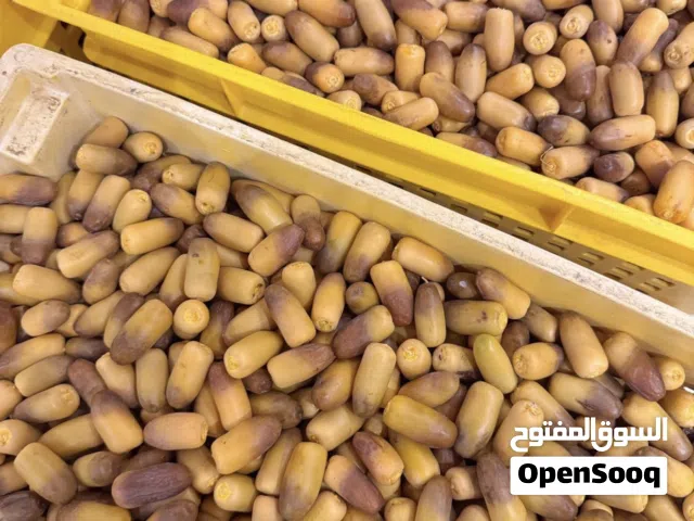 متوفر معنا رطب النغال بشكل يومي