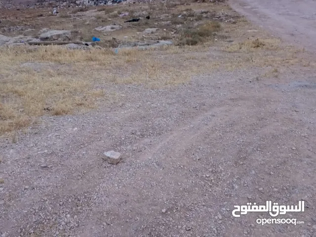 ارض مميزة على شارعين للبيع في اجمل مناطق ام الدنانير/ REF: 005