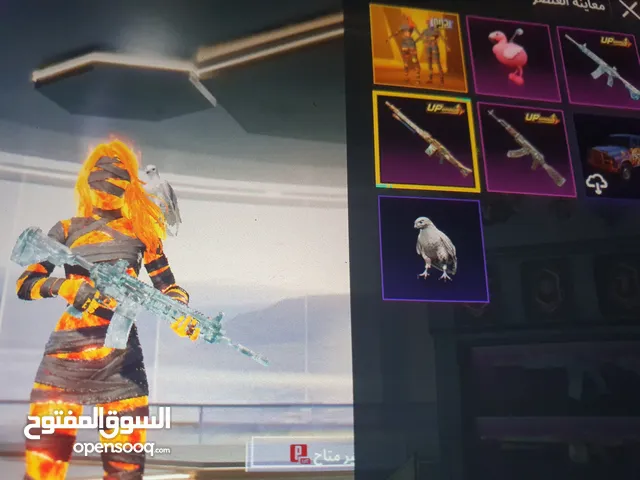 Pubg Accounts and Characters for Sale in Abu Dhabi